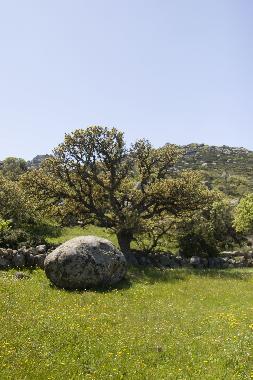 Volax protected granite area