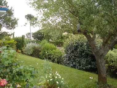 Holiday House in Pyla sur mer (Gironde) or holiday homes and vacation rentals