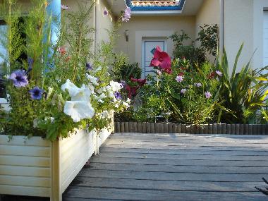 Holiday House in Pyla sur mer (Gironde) or holiday homes and vacation rentals
