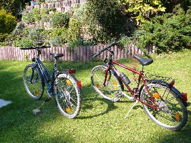 Holiday House in Amtsberg (Erzgebirge) or holiday homes and vacation rentals