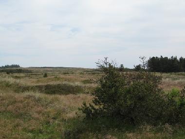 Holiday House in Bedsted (Nordjylland) or holiday homes and vacation rentals