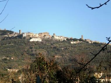 Holiday Apartment in Cortona (Arezzo) or holiday homes and vacation rentals