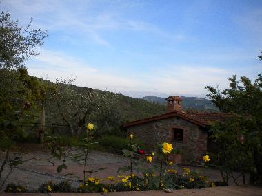 Bed and Breakfast in Panicale (Perugia) or holiday homes and vacation rentals