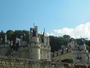 Holiday House in Ingrandes de Touraine (Centre) or holiday homes and vacation rentals
