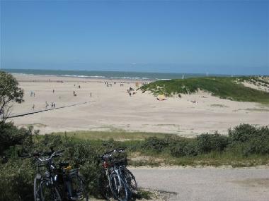 Chalet in Heinkenszand (Zeeland) or holiday homes and vacation rentals