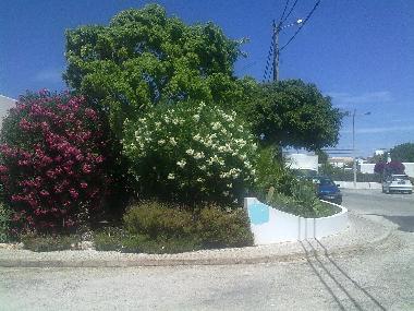 Entrance To Apartments