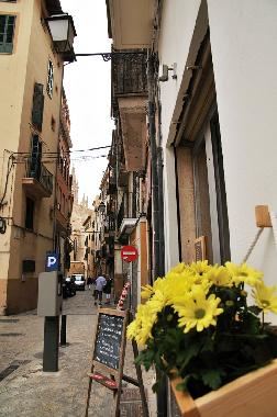 Holiday Apartment in Palma de Mallorca (Mallorca) or holiday homes and vacation rentals