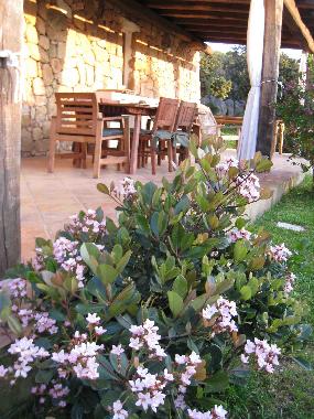 Holiday House in Baja Sardinia (Olbia-Tempio) or holiday homes and vacation rentals