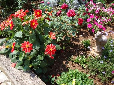 Holiday House in Silo (Primorsko-Goranska) or holiday homes and vacation rentals