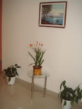 Holiday House in Silo (Primorsko-Goranska) or holiday homes and vacation rentals