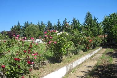 Holiday Apartment in Litochoron (Pella) or holiday homes and vacation rentals