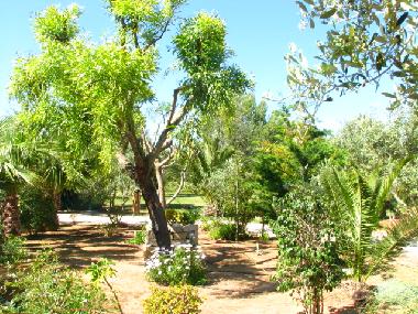 Holiday House in Ses Salines (Mallorca) or holiday homes and vacation rentals