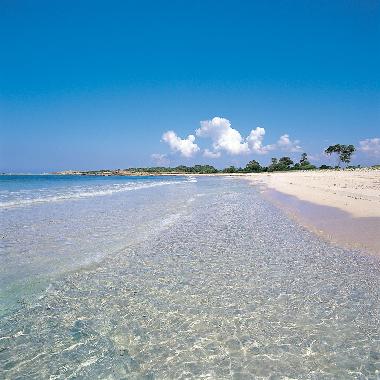 Holiday Apartment in Colonia de Sant Jordi (Mallorca) or holiday homes and vacation rentals