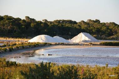 Holiday Apartment in Colonia de Sant Jordi (Mallorca) or holiday homes and vacation rentals