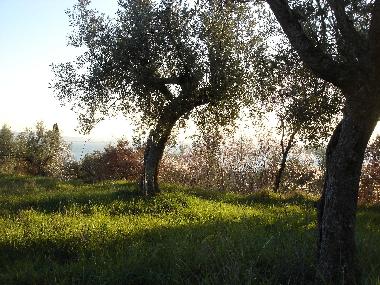 Holiday House in Passignano sul Trasimeno (Perugia) or holiday homes and vacation rentals