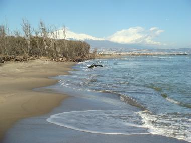Catania
