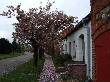 Holiday House in Sllenthin (Prignitz) or holiday homes and vacation rentals
