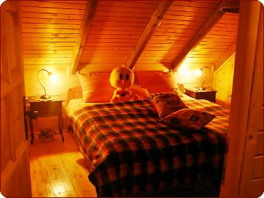 Holiday House in Kolasin (Montenegro) or holiday homes and vacation rentals