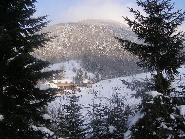 Holiday House in Kolasin (Montenegro) or holiday homes and vacation rentals