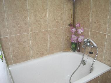 Holiday Apartment in Alicante (Alicante / Alacant) or holiday homes and vacation rentals