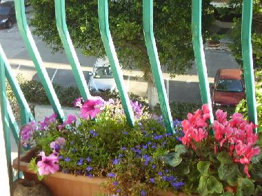 Holiday Apartment in Tel Aviv (Tel Aviv) or holiday homes and vacation rentals