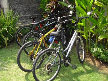 Bicycles available on request