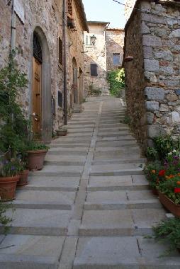 Holiday Apartment in Roccatederighi (Grosseto) or holiday homes and vacation rentals