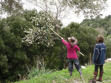 moments of a childs relaxation