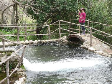in the heart of the forest you can find the nymfs lake
