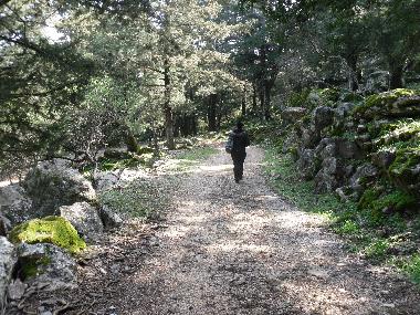 do you enjoy hicking ? paths will take you to a magnificent journey in the woods