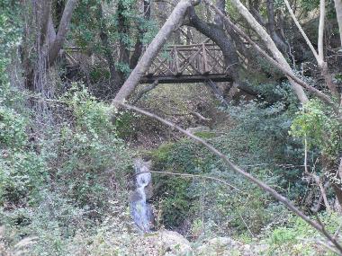 the sound of the river will tell you stories of another world !!!