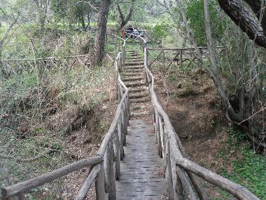 walking on wooden bridges feels like you are in a fairytale !!!