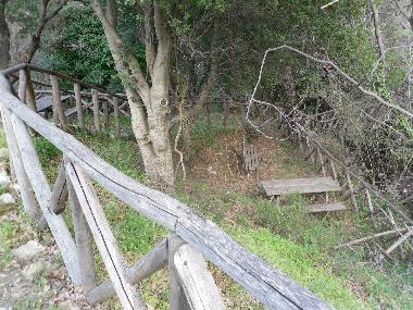 have a family pic nic or a romantic one in the heart of the forest