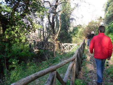 take your friends and become children again as you make your own story in the woods