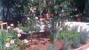 Holiday Apartment in San Vito Lo Capo (Trapani) or holiday homes and vacation rentals