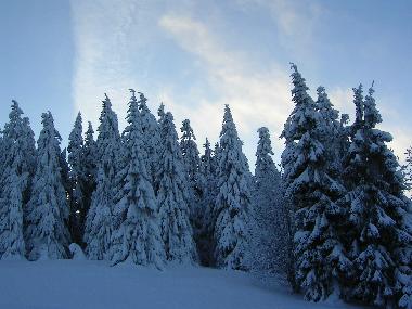 Holiday Apartment in Clausthal-Zellerfeld (Harz) or holiday homes and vacation rentals