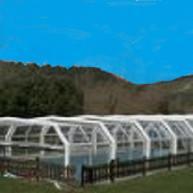 Full sized heated swimming pool