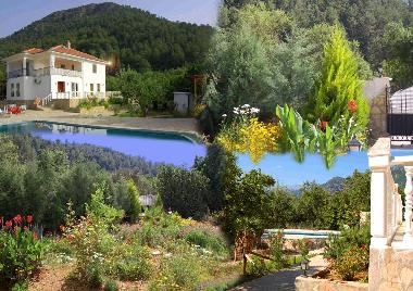 Villa in zml (Mugla) or holiday homes and vacation rentals