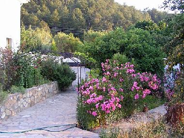 Holiday House in �z�ml� (Mugla) or holiday homes and vacation rentals