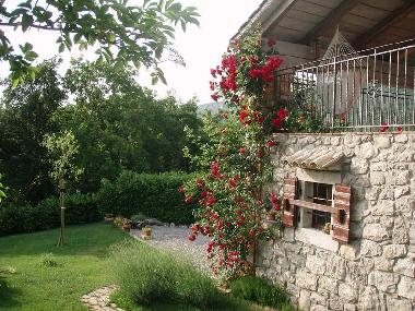 Holiday House in Roc (Istarska) or holiday homes and vacation rentals