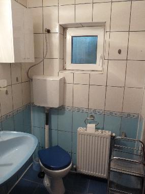 Holiday House in Busteni (Prahova) or holiday homes and vacation rentals