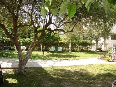 Holiday Apartment in Polichrono (Chalkidiki) or holiday homes and vacation rentals
