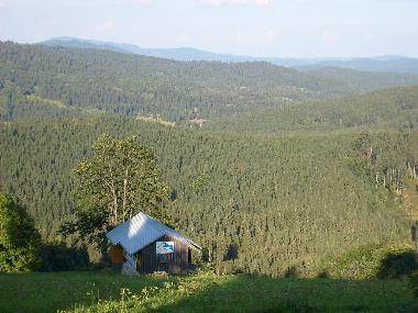 Holiday House in Mitterfirmiansreut (Mitterdorf) (Budejovicky Kraj) or holiday homes and vacation rentals