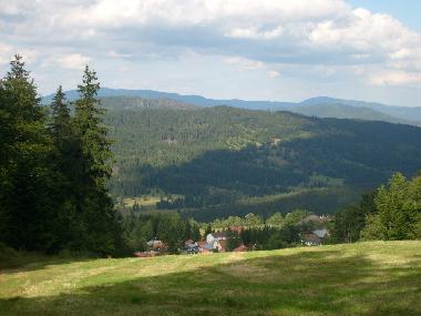 Holiday House in Mitterfirmiansreut (Mitterdorf) (Budejovicky Kraj) or holiday homes and vacation rentals