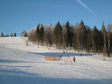 Holiday House in Mitterfirmiansreut (Mitterdorf) (Budejovicky Kraj) or holiday homes and vacation rentals