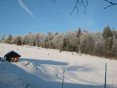 Holiday House in Mitterfirmiansreut (Mitterdorf) (Budejovicky Kraj) or holiday homes and vacation rentals