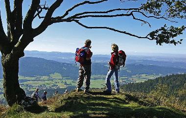 Holiday House in Mitterfirmiansreut (Mitterdorf) (Lower Bavaria) or holiday homes and vacation rentals