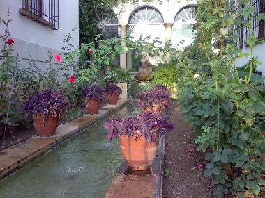 Holiday Apartment in RODA BARA (Tarragona) or holiday homes and vacation rentals