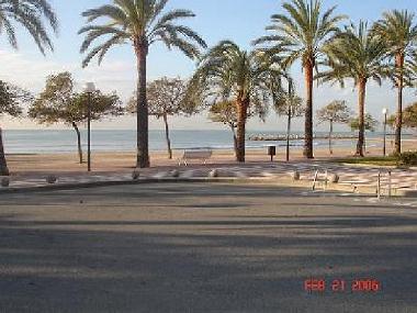 Holiday Apartment in cambrils (Tarragona) or holiday homes and vacation rentals