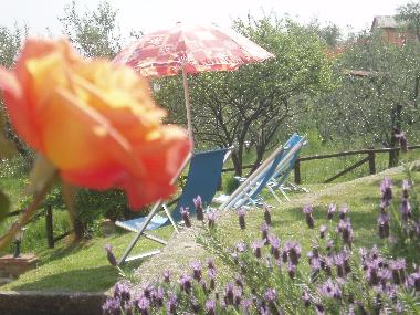 outdoor area